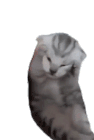 1721815022386137.gif 640.gif