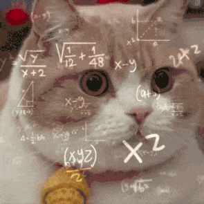 1721816426345996.gif