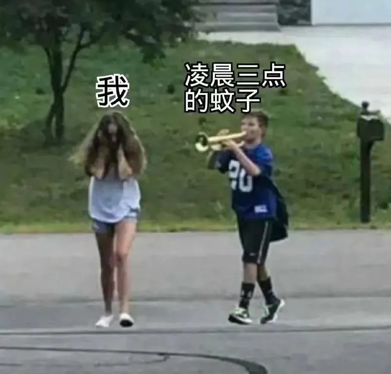 1723627005948681.jpg