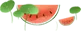 1724985984659112.jpg 西瓜.jpg