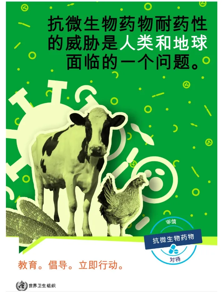 【卫生健康宣传日】2024年世界抗菌药物认识周：教育、倡导、立即行动