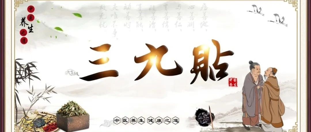 【中医·敷贴】温肺逐痰、健脾补肾......12月30日，记得来我院敷“三九贴”哟~