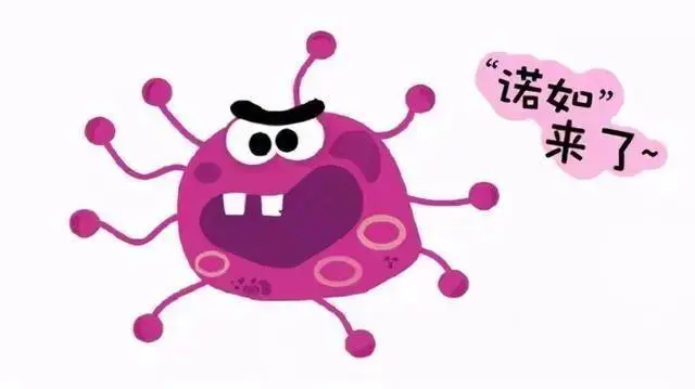 【健康科普】诺如病毒预防指南